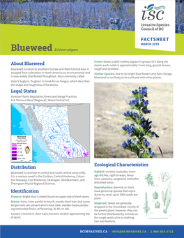 Blueweed Factsheet