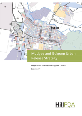 Mudgee and Gulgong Urban Release Strategy