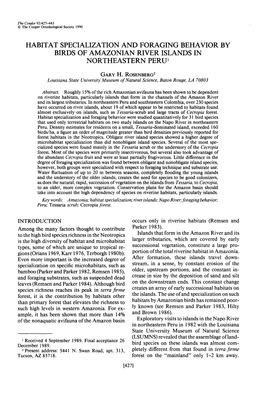 Habitat Specialization and Foraging Behavior by Birds of Amazonian River Ilands in Northeastern Peru