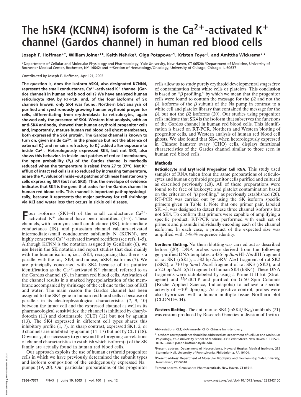 The Hsk4 (KCNN4) Isoform Is the Ca -Activated K Channel (Gardos