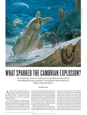 WHAT SPARKED the CAMBRIAN EXPLOSION? an Evolutionary Burst 540 Million Years Ago Filled the Seas with an Astonishing Diversity of Animals