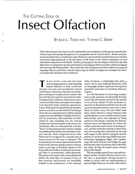 Insect Olfaction