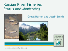 Russian River Fisheries Status and Monitoring