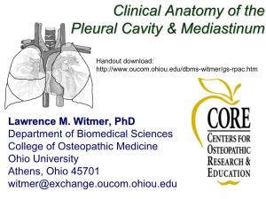 Clinical Anatomy of the Pleural Cavity & Mediastinum