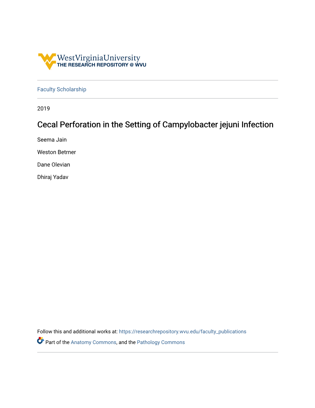 Cecal Perforation in the Setting of Campylobacter Jejuni Infection