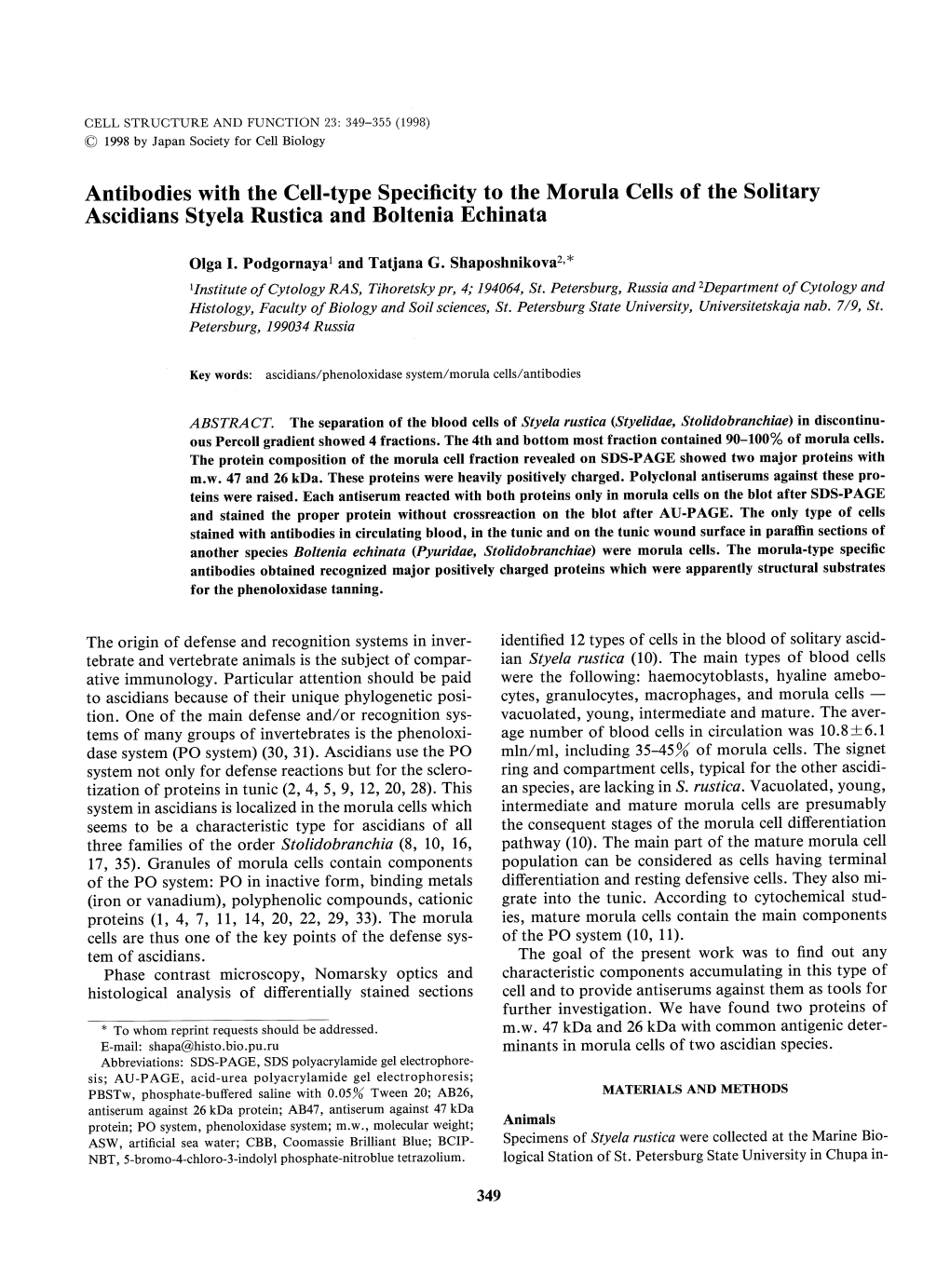 Antibodies with the Cell-Type Specificity to the Morula Cells of the Solitary Ascidians Styela Rustica and Boltenia Echinata Olga I