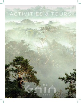 Activities & Tours