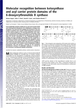 Molecular Recognition Between Ketosynthase and Acyl Carrier Protein Domains of the 6-Deoxyerythronolide B Synthase