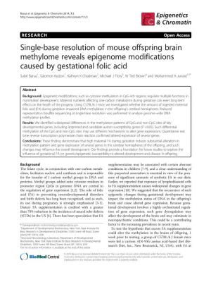 Single-Base Resolution of Mouse Offspring Brain Methylome Reveals