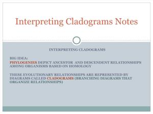 Interpreting Cladograms Notes