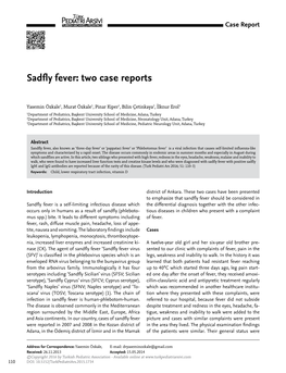 Sadfly Fever: Two Case Reports