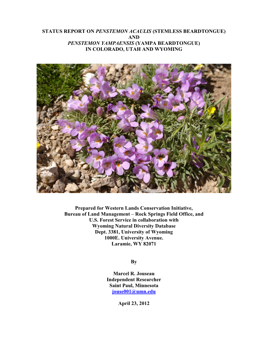 Status Report on Penstemon Acaulis (Stemless Beardtongue) and Penstemon Yampaensis (Yampa Beardtongue) in Colorado, Utah and Wyoming