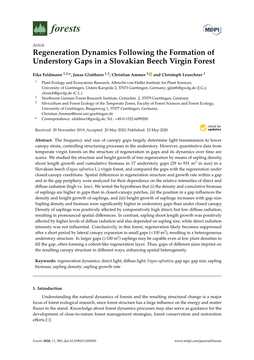 Regeneration Dynamics Following the Formation of Understory Gaps in a Slovakian Beech Virgin Forest