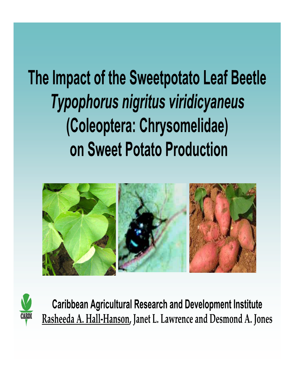 The Impact of the Sweetpotato Leaf Beetle Typophorus Nigritus Viridicyaneus (Coleoptera: Chrysomelidae) on Sweet Potato Production