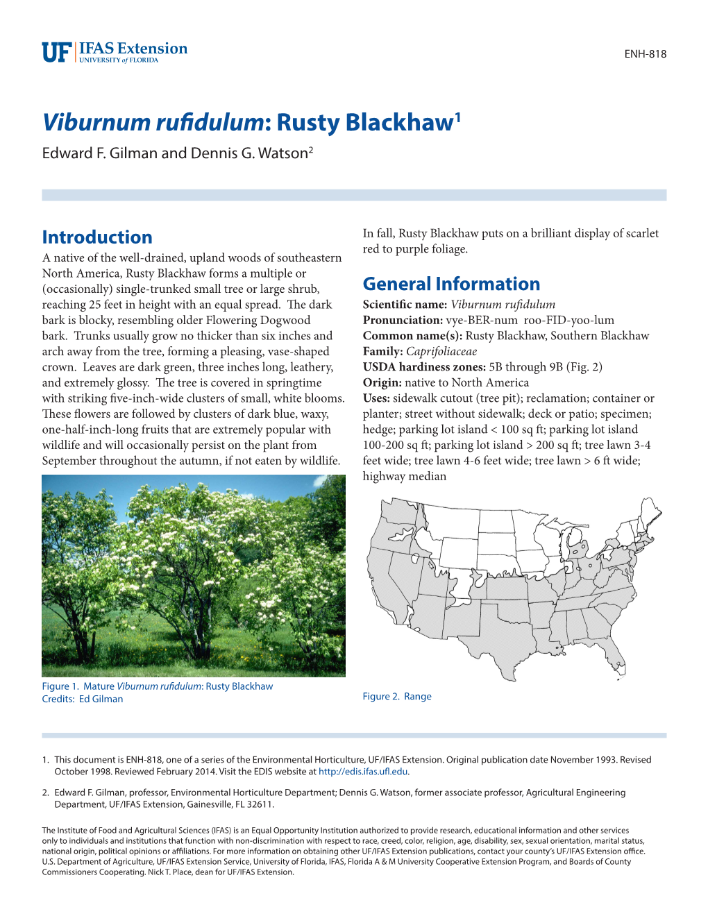 Viburnum Rufidulum: Rusty Blackhaw1 Edward F