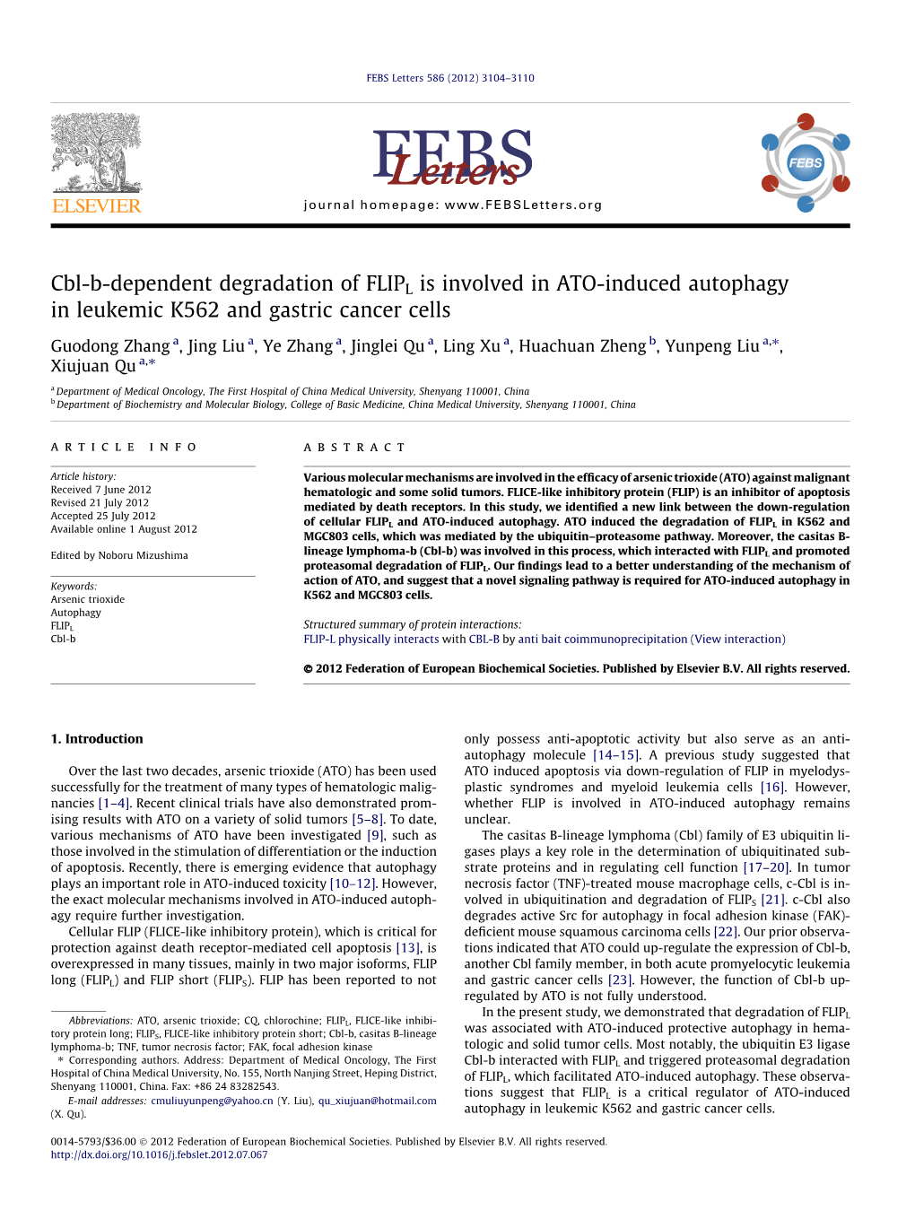 Cbl-B-Dependent Degradation of FLIPL Is Involved in ATO-Induced Autophagy in Leukemic K562 and Gastric Cancer Cells