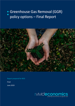 Greenhouse Gas Removal (GGR) Policy Options – Final Report