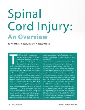 Spinal Cord Injury: an Overview