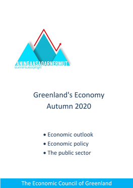 The Economic Council Report 2020