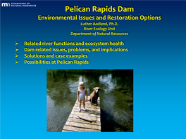 Pelican Rapids Dam Environmental Issues and Restoration Options Luther Aadland, Ph.D