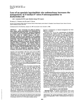 Mutagenicity of N-Methyl-N'-Nitro-N-Nitrosoguanidine to Escherichia Coli (Xtha-/Exonuclease III/DNA Repair/Alkylation Damage/SOS Response) PATRICIA L