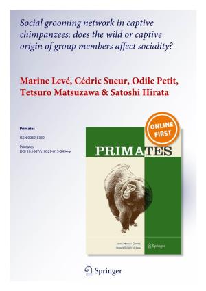Social Grooming Network in Captive Chimpanzees: Does the Wild Or Captive Origin of Group Members Affect Sociality?