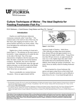 Culture Techniques of Moina : the Ideal Daphnia for Feeding Freshwater Fish Fry 1