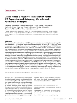 Janus Kinase 2 Regulates Transcription Factor EB Expression and Autophagy Completion in Glomerular Podocytes