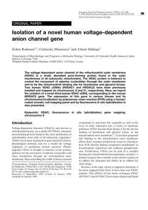 Isolation of a Novel Human Voltage-Dependent Anion Channel Gene