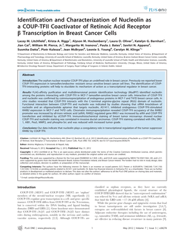 Identification and Characterization of Nucleolin As a COUP-TFII Coactivator of Retinoic Acid Receptor B Transcription in Breast Cancer Cells