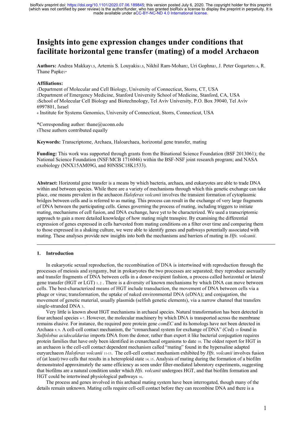 Insights Into Gene Expression Changes Under Conditions That Facilitate Horizontal Gene Transfer (Mating) of a Model Archaeon