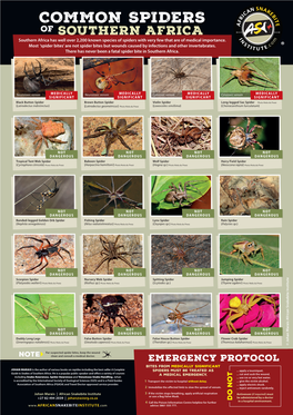 COMMON SPIDERS of SOUTHERN AFRICA Southern Africa Has Well Over 2,200 Known Species of Spiders with Very Few That Are of Medical Importance