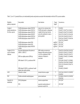 Table 2. List of 113 Potential Blastocystis Mitochondrial Proteins and Proteins Associated with Mitochondria with Their EST Accession Numbers