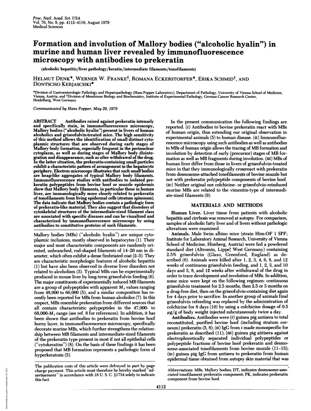 In Murine and Human Liver Revealed by Immunofluorescen