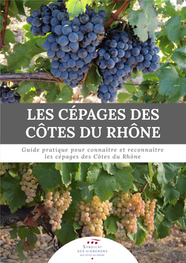 Les Cépages Des Côtes Du Rhône