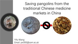 Saving Pangolins from the Traditional Chinese Medicine Markets in China