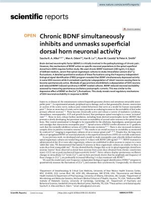 Chronic BDNF Simultaneously Inhibits and Unmasks Superficial Dorsal