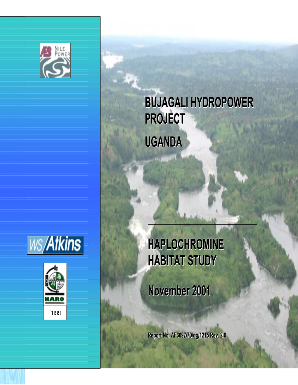 Bujagali Hydropower Project Uganda Haplochromine