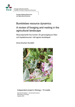 Bumblebee Resource Dynamics: a Review of Foraging and Nesting in the Agricultural Landscape