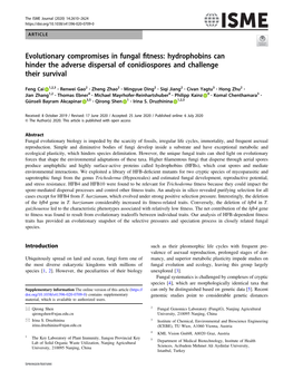 Evolutionary Compromises in Fungal Fitness: Hydrophobins Can Hinder