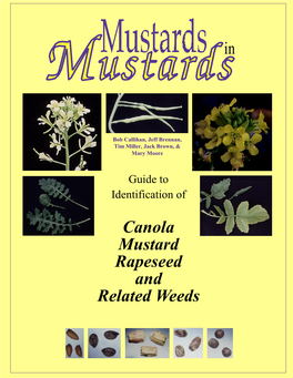 Canola Mustard Rapeseed and Related Weeds In