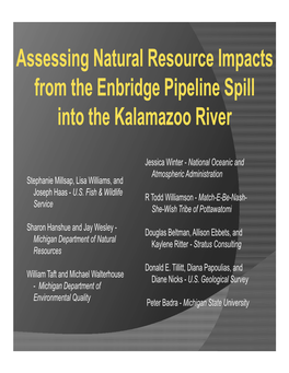 Assessing Natural Resource Impacts G P from the Enbridge Pipeline