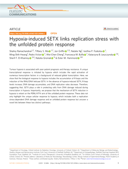 Hypoxia-Induced SETX Links Replication Stress with the Unfolded Protein Response