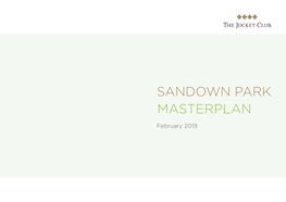 Sandown Park Masterplan