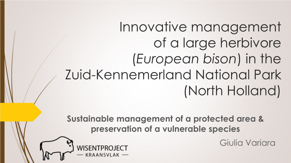 Innovative Management of a Large Herbivore (European Bison) in the Zuid-Kennemerland National Park (North Holland)