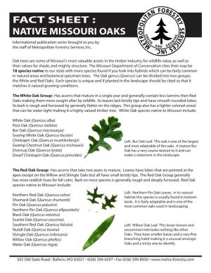 Missouri Native Oak Trees