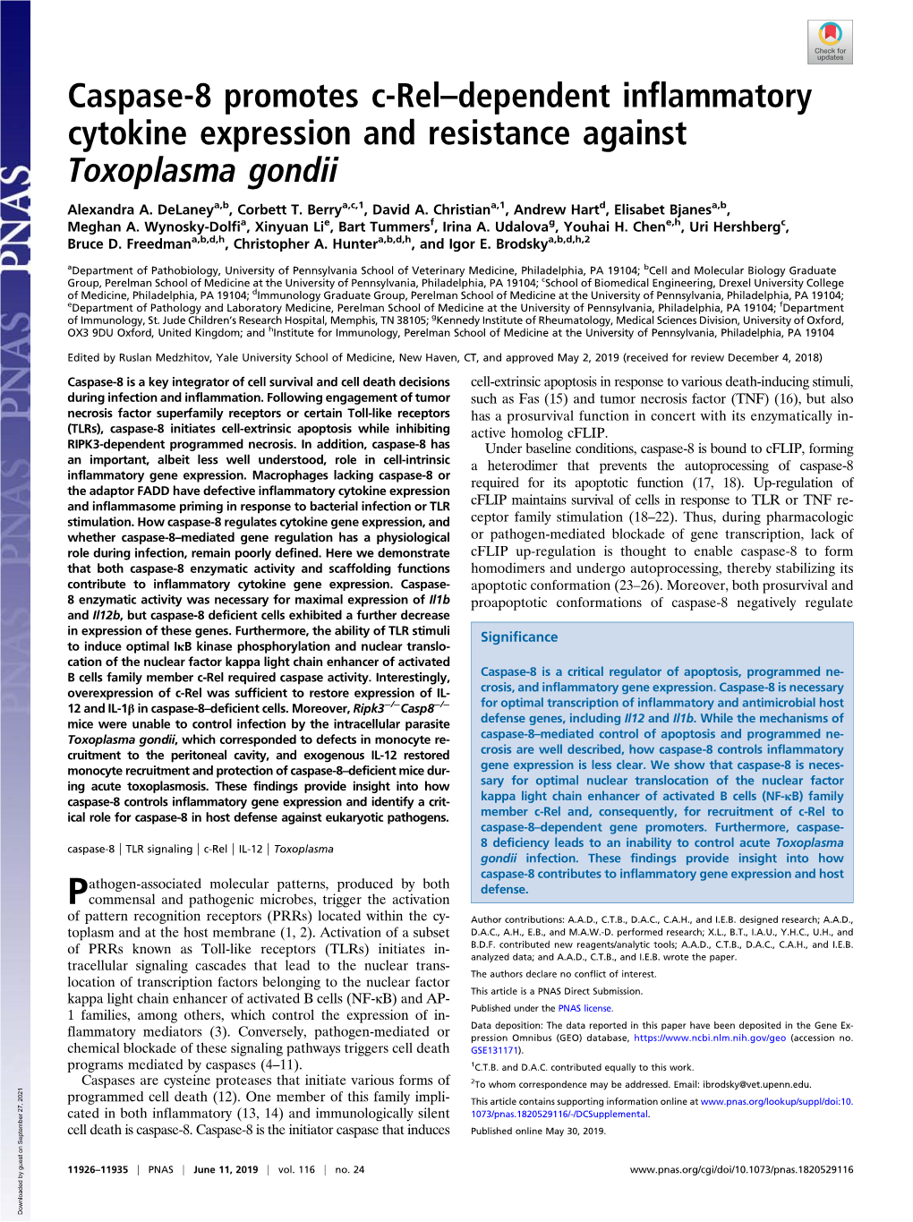 Caspase-8 Promotes C-Rel–Dependent Inflammatory Cytokine Expression and Resistance Against Toxoplasma Gondii