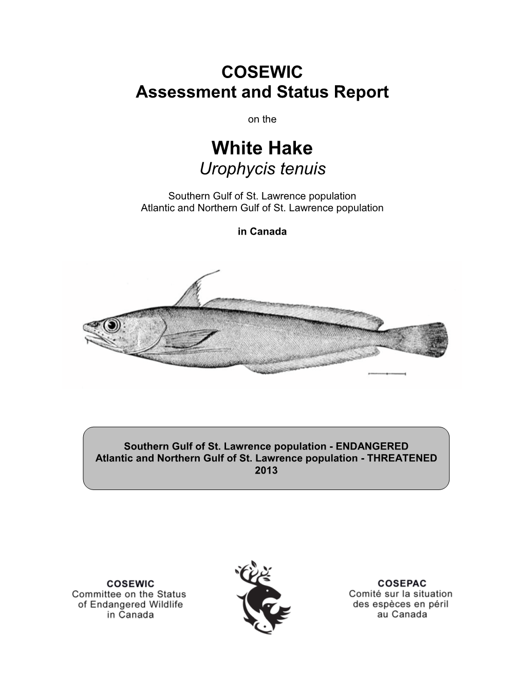 COSEWIC Assessment and Status Report on the White Hake Urophycis Tenuis in Canada