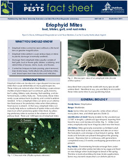 Eriophyid Mites Bud, Blister, Gall, and Rust Mites