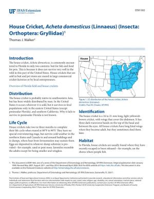 House Cricket, Acheta Domesticus (Linnaeus) (Insecta: Orthoptera: Gryllidae)1 Thomas J